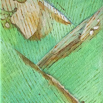 Tiny Paintings