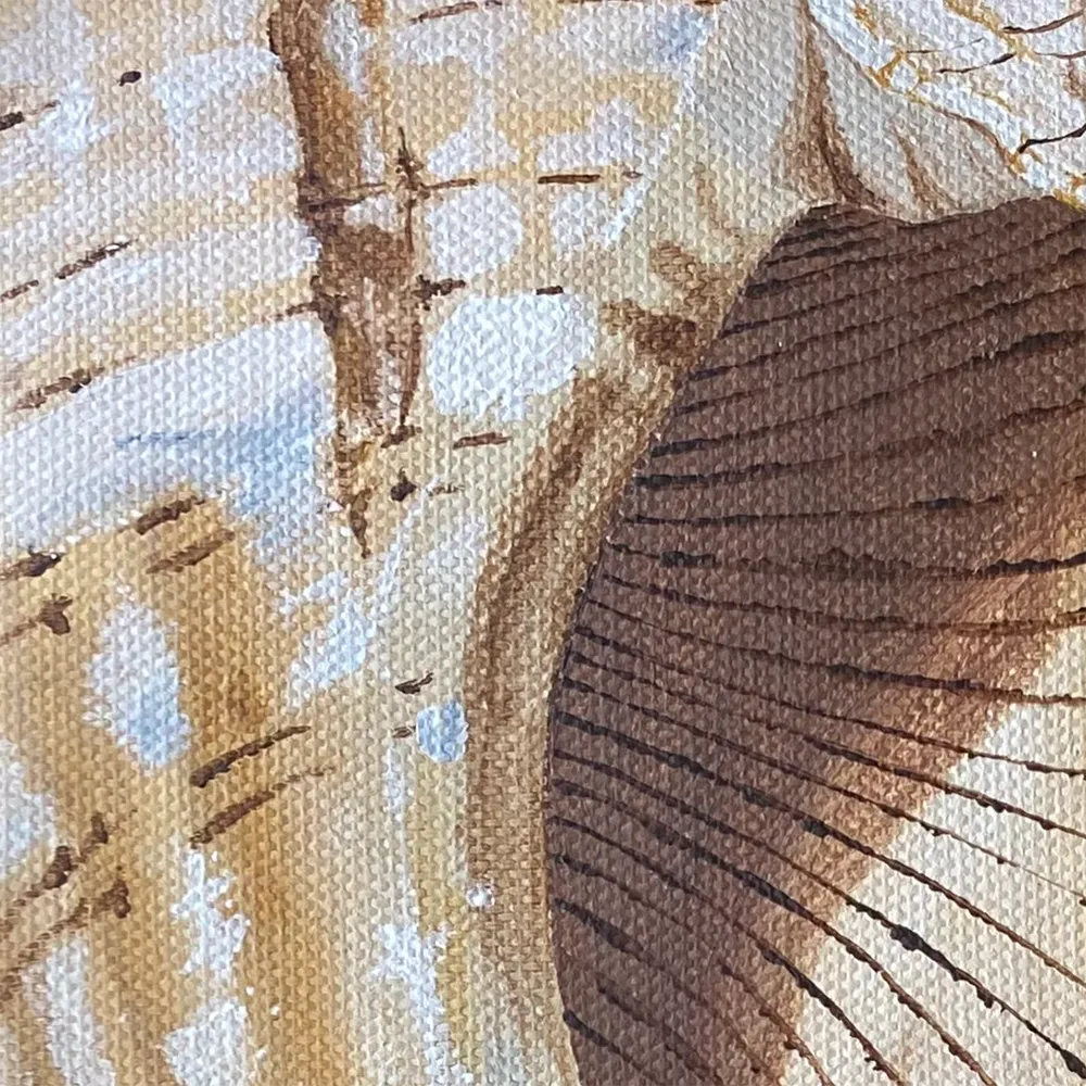 Tiny Paintings